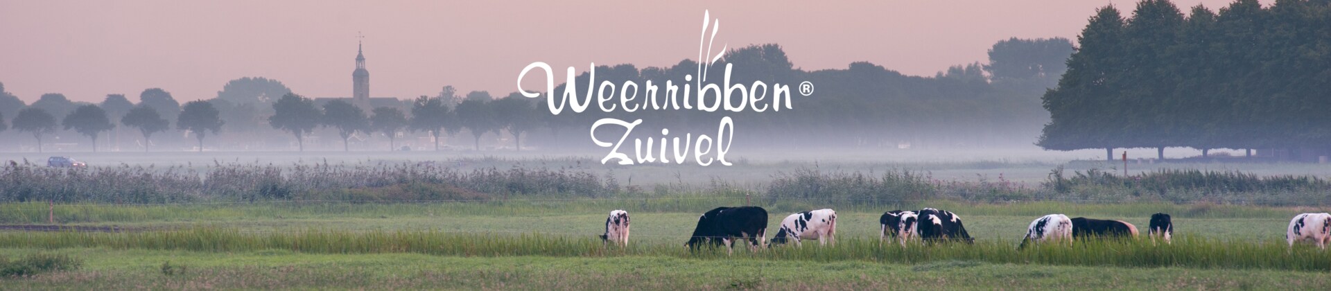 Weerribben Zuivel